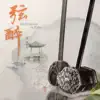 孟晓旭 - 弦醉